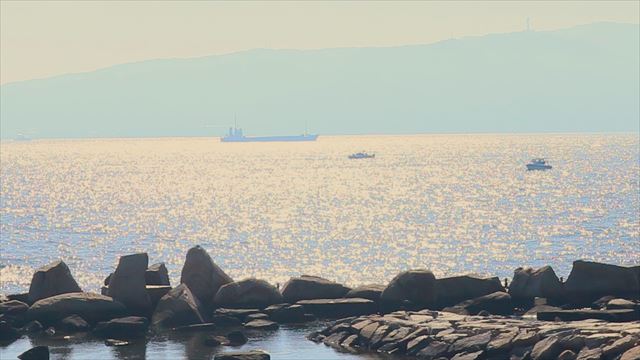 光の渦～小春日和