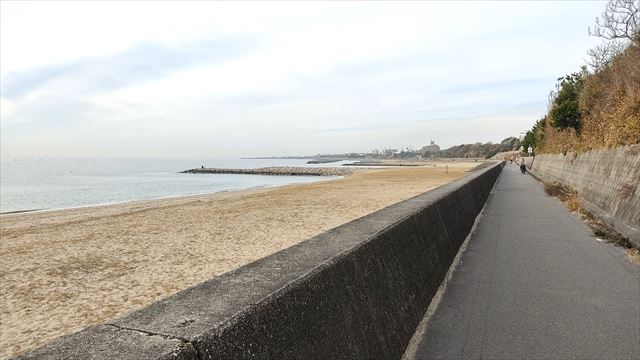 江井ヶ島までサイクリング